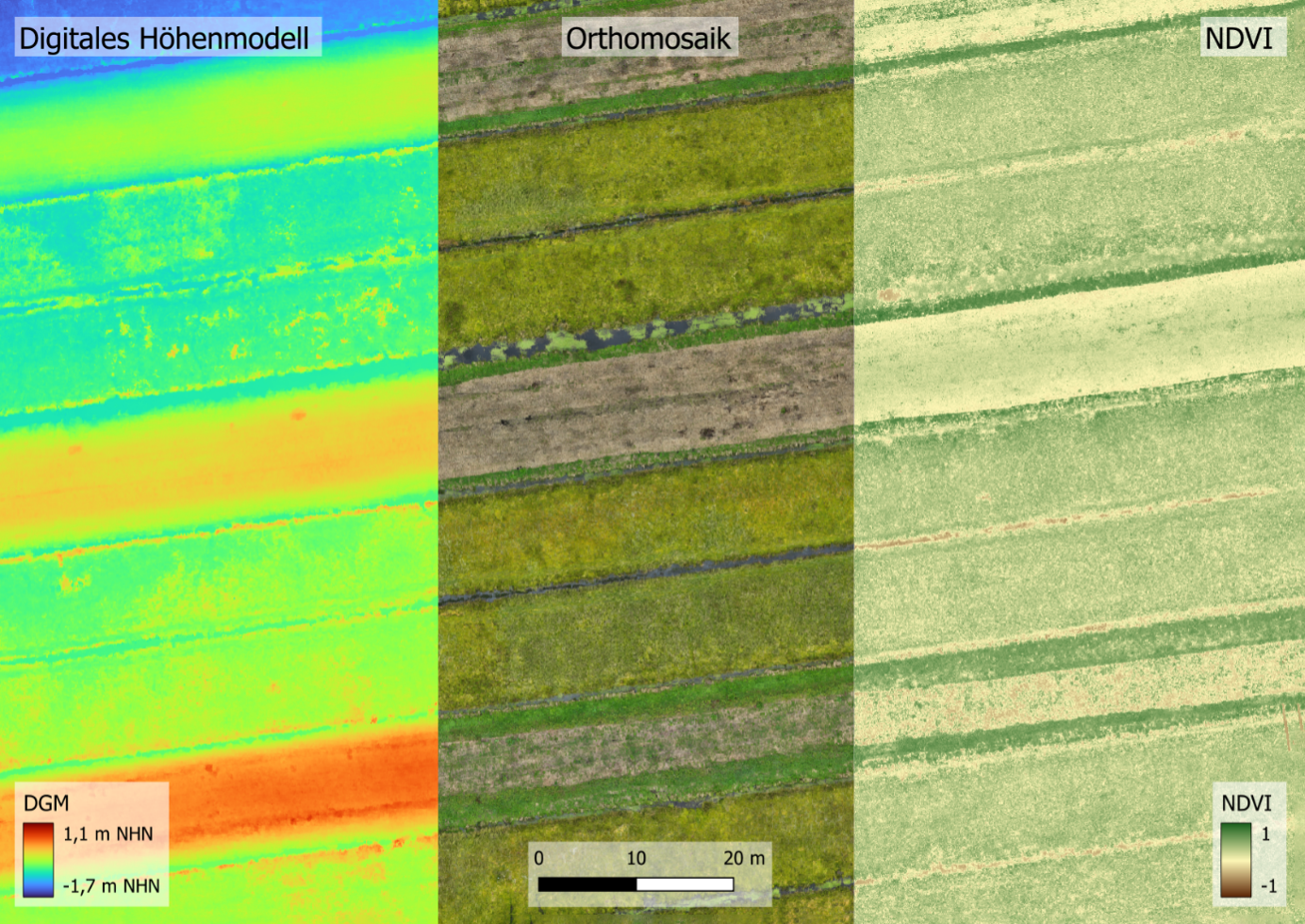 Digitales Höhenmodell, Orthomosaik, NDVI